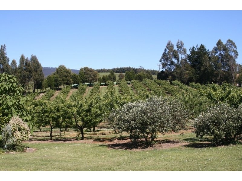 917 Winkleigh Rd, Winkleigh TAS 7275