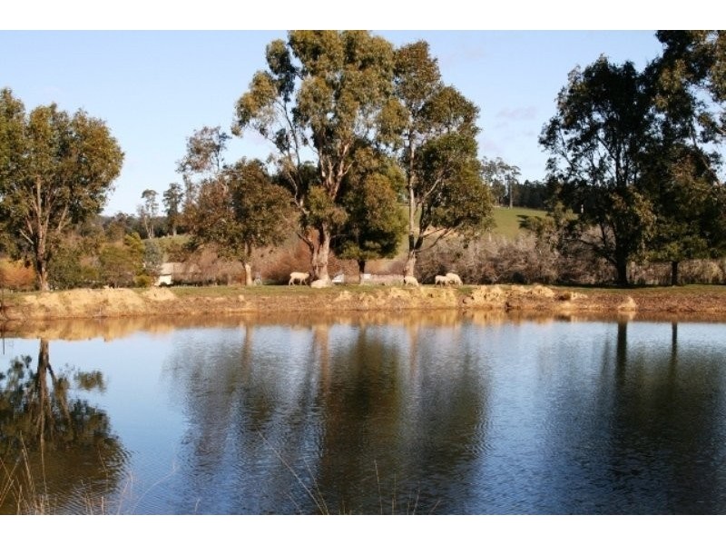 917 Winkleigh Rd, Winkleigh TAS 7275