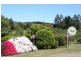 917 Winkleigh Road, Winkleigh TAS 7275