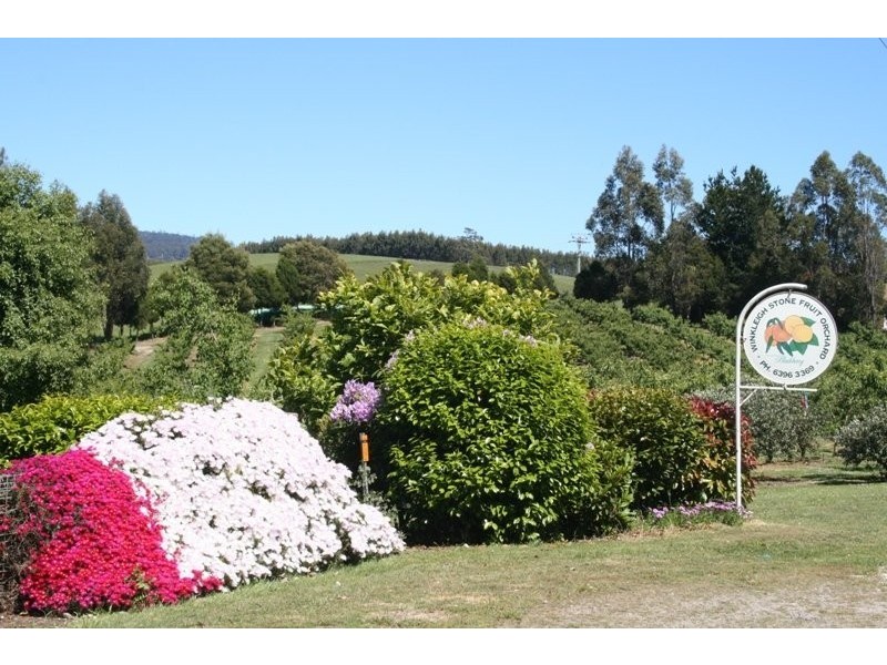 917 Winkleigh Road, Winkleigh TAS 7275