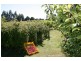 917 Winkleigh Road, Winkleigh TAS 7275