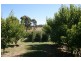 917 Winkleigh Road, Winkleigh TAS 7275