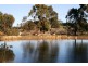 917 Winkleigh Road, Winkleigh TAS 7275