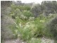 22 Pars Road, Greens Beach TAS 7270
