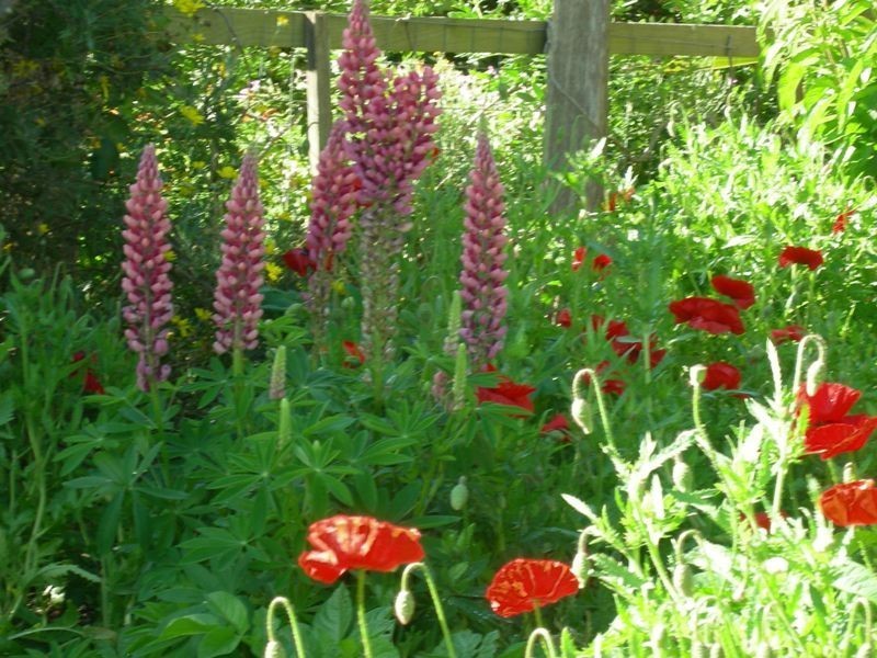 51 Bindaree Road, Legana TAS 7277