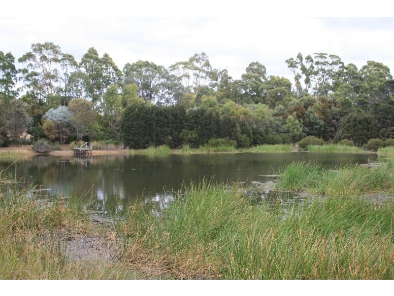 411 Gravelly Beach Road, Gravelly Beach TAS 7276