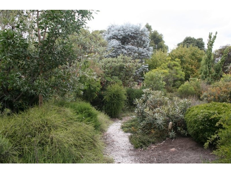 411 Gravelly Beach Road, Gravelly Beach TAS 7276