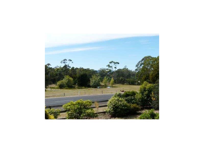 45 Deviot Road, Robigana TAS 7275