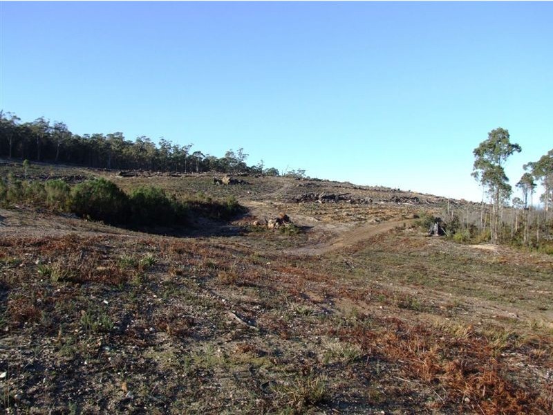 149 Ginns Road, Birralee TAS 7303