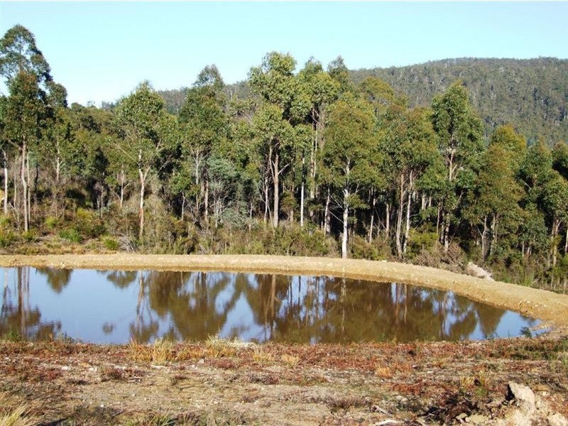 149 Ginns Road, Birralee TAS 7303