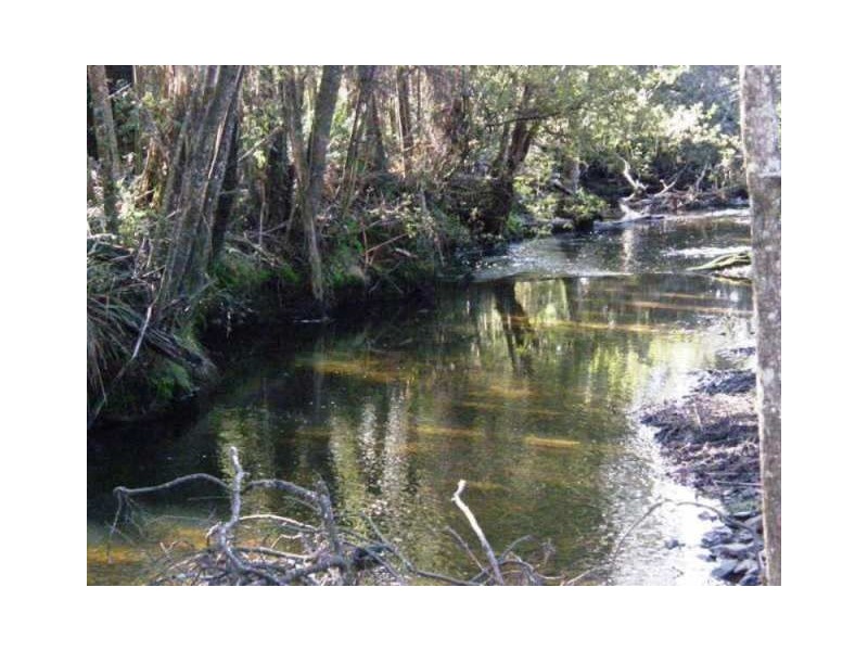 Lot 1 Tiffanys Park, Golconda Rd, Nabowla TAS 7260
