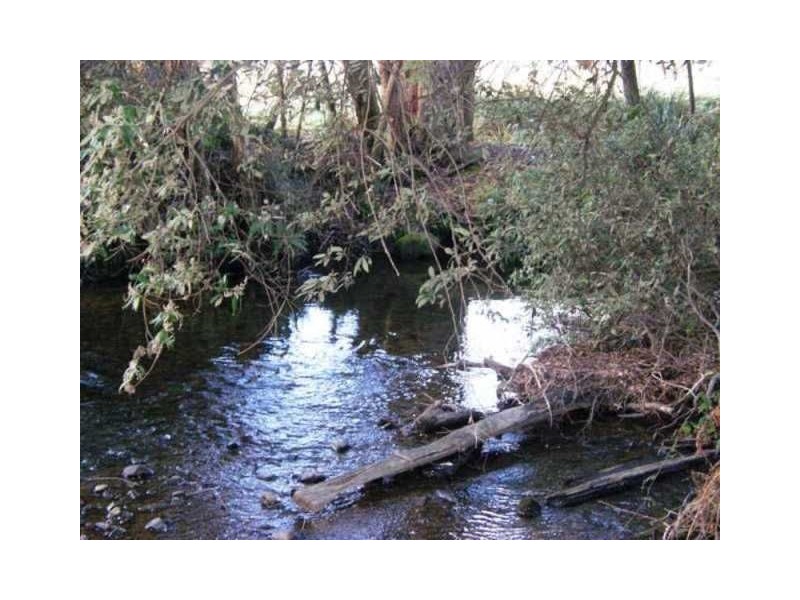 Lot 2 Tiffanys Park, Golconda Rd, Nabowla TAS 7260