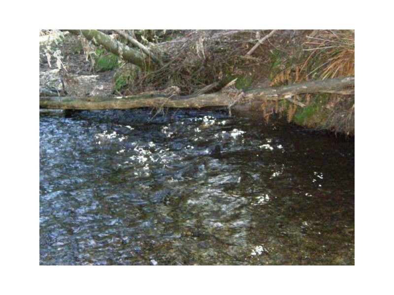 Lot 4 Tiffanys Park, Golconda Rd, Nabowla TAS 7260