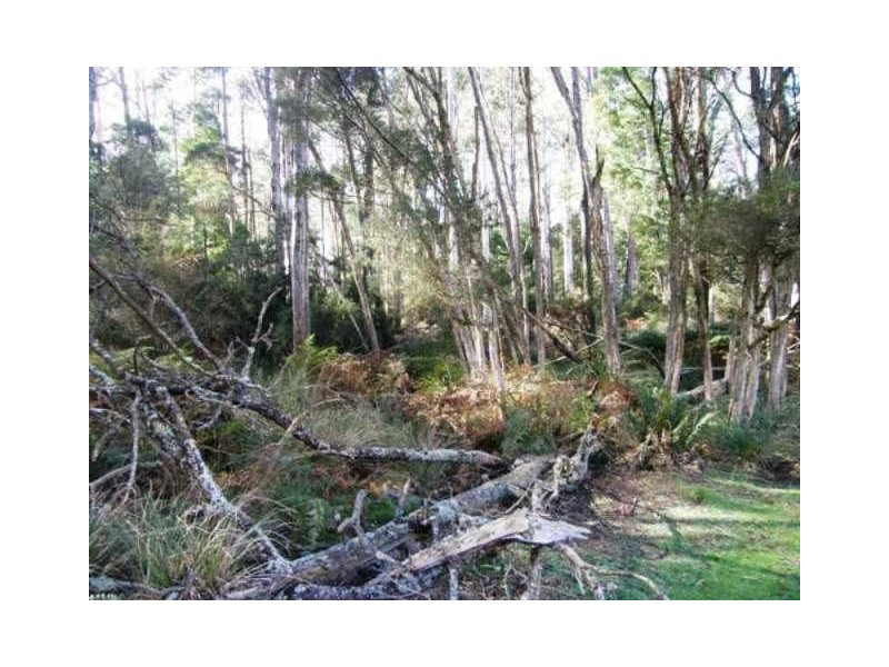 Lot 5 Tiffanys Park, Golconda Rd, Nabowla TAS 7260