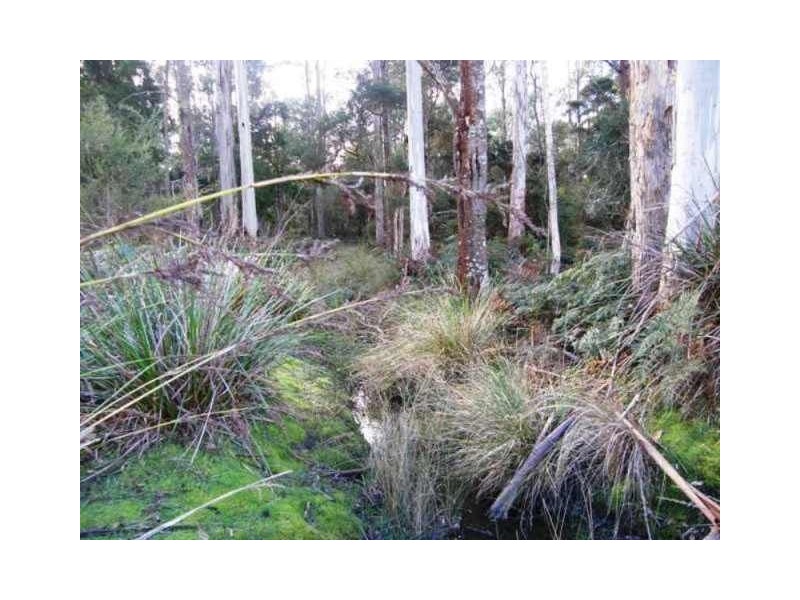 Lot 5 Tiffanys Park, Golconda Rd, Nabowla TAS 7260