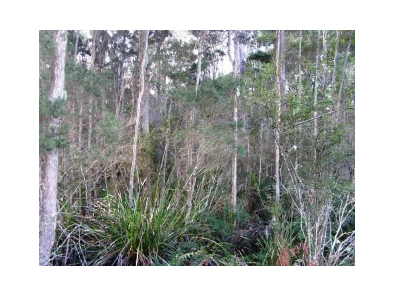 Lot 5 Tiffanys Park, Golconda Rd, Nabowla TAS 7260