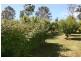 917 Winkleigh Road, Winkleigh TAS 7275