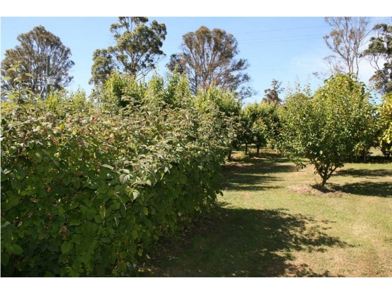 917 Winkleigh Road, Winkleigh TAS 7275