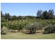 917 Winkleigh Road, Winkleigh TAS 7275