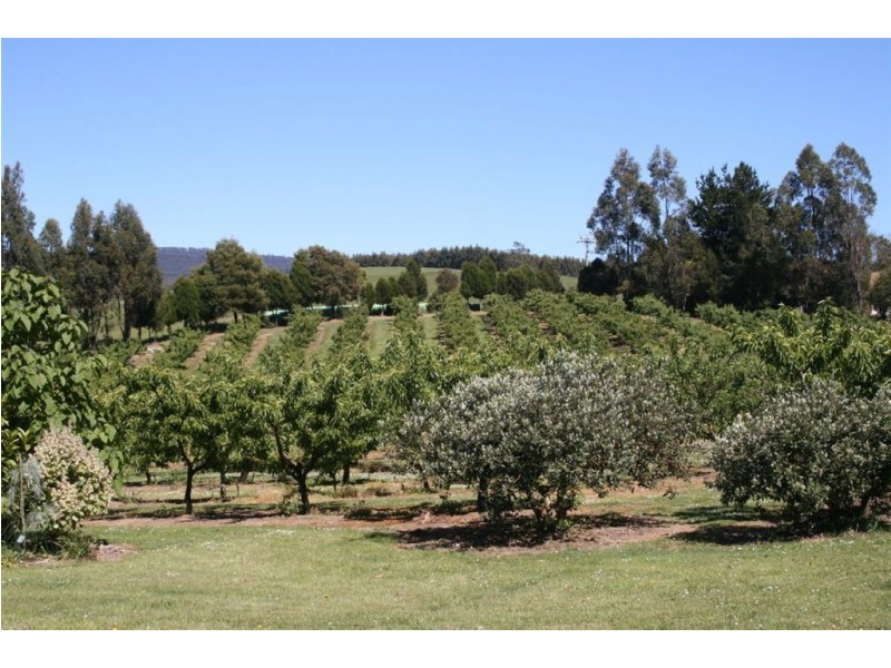 917 Winkleigh Road, Winkleigh TAS 7275