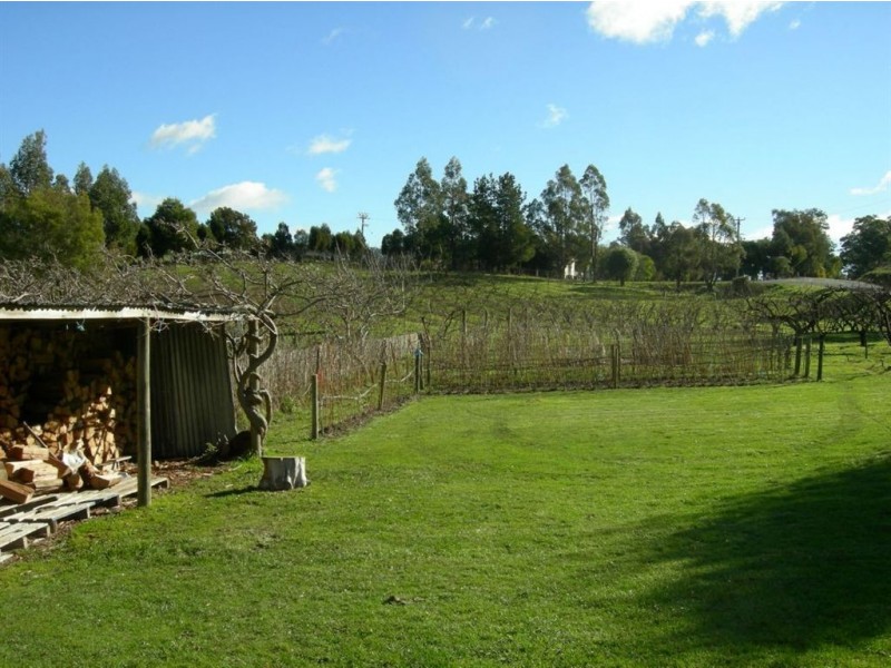 917 Winkleigh Road, Winkleigh TAS 7275