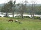 1 Whites Road, Beaconsfield TAS 7270