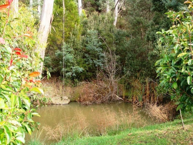 359 Priestleys Lane, Birralee TAS 7303