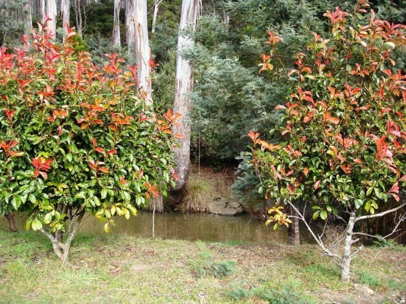 359 Priestleys Lane, Birralee TAS 7303