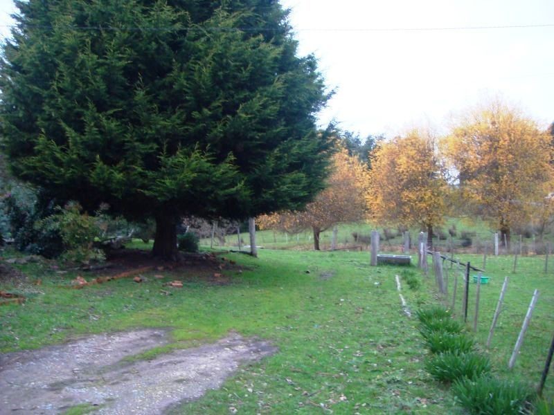 1740 Frankford Road, Frankford TAS 7275