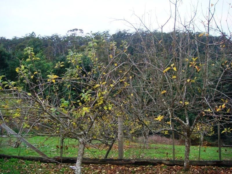 1740 Frankford Road, Frankford TAS 7275