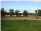 Lot 1 Gibbs Street, Beaconsfield TAS 7270