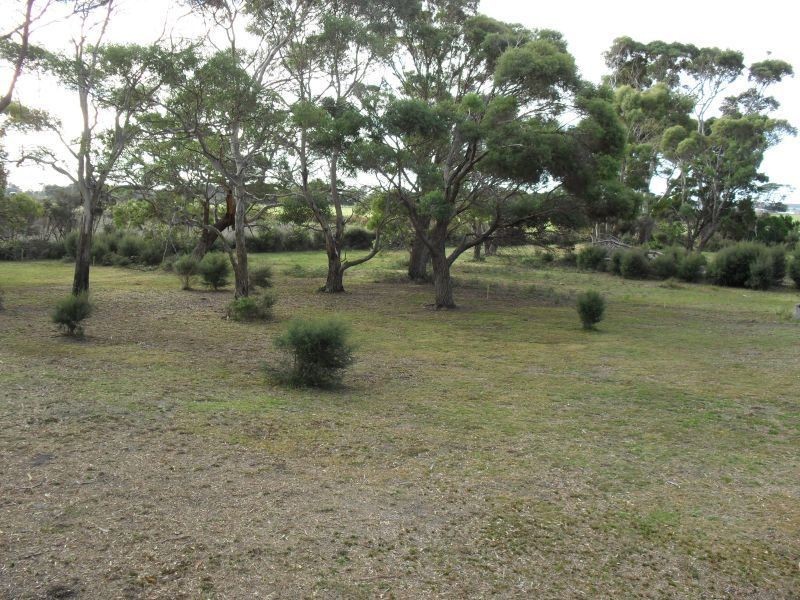1199 Greens Beach Road, Kelso TAS 7270