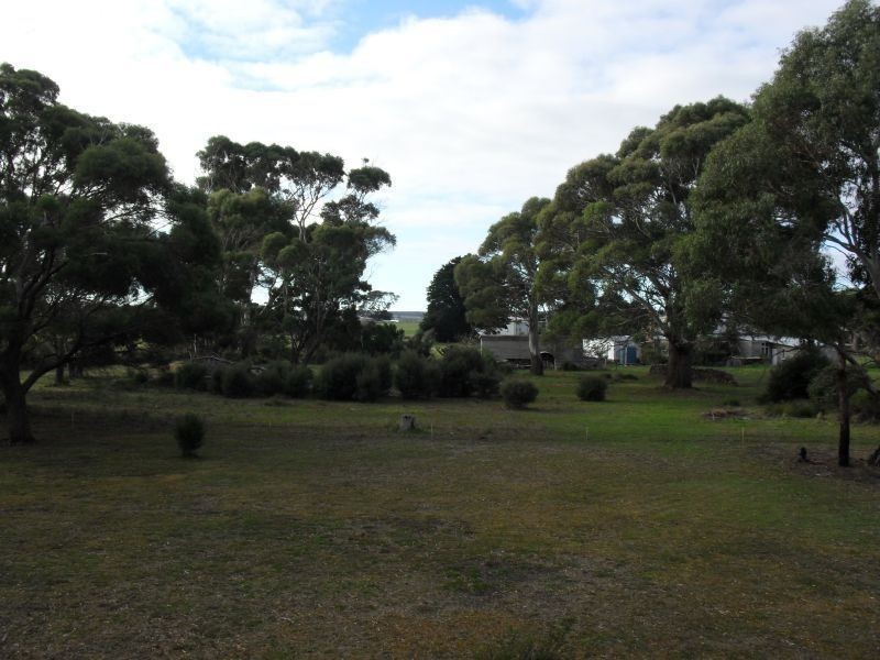 1199 Greens Beach Road, Kelso TAS 7270