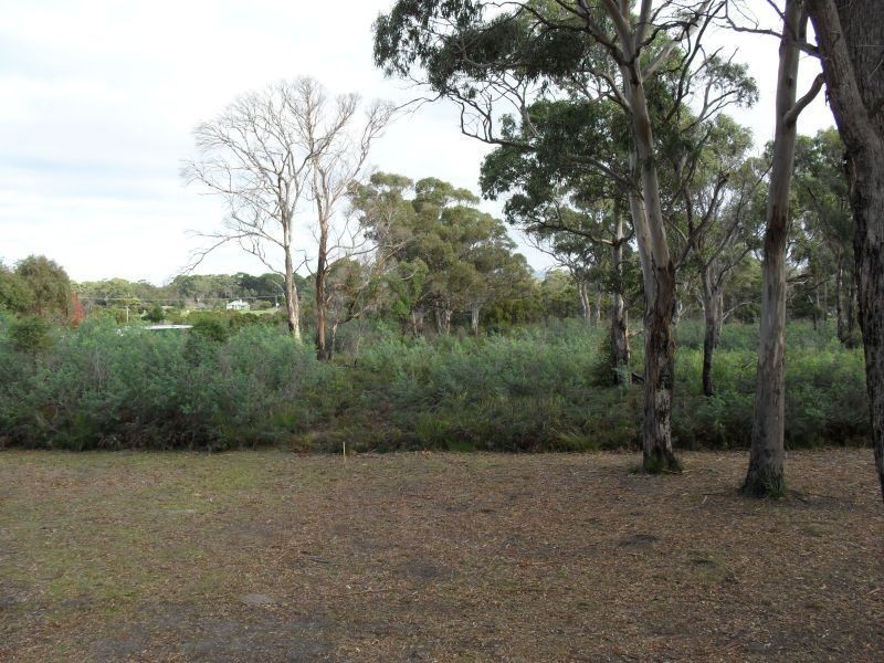 1199 Greens Beach Road, Kelso TAS 7270