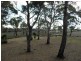 1199 Greens Beach Road, Kelso TAS 7270