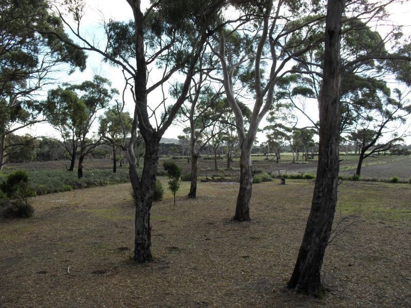 1199 Greens Beach Road, Kelso TAS 7270