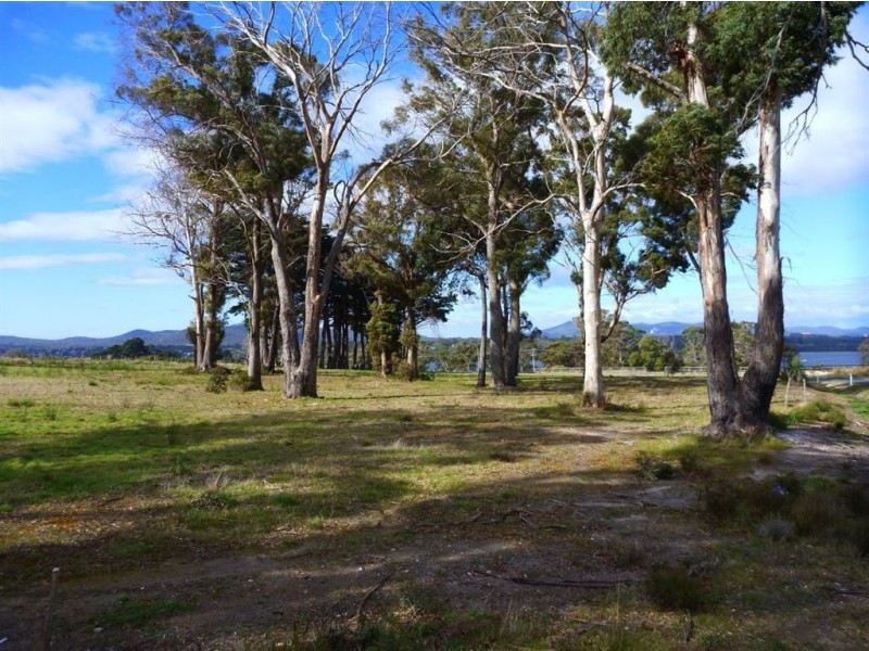 14 Chisholm Avenue, Clarence Point TAS 7270