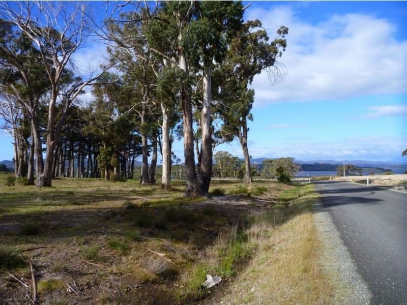 14 Chisholm Avenue, Clarence Point TAS 7270