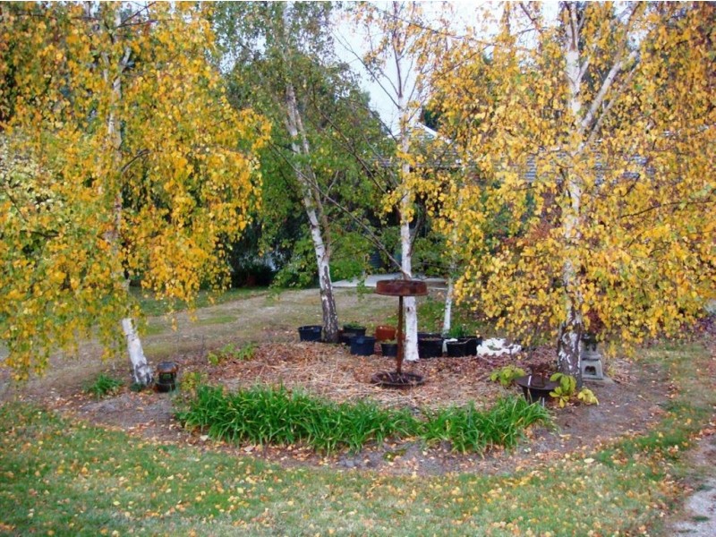 8 Flinders Street, Beauty Point TAS 7270