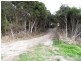 10 Reibey Street, Beaconsfield TAS 7270