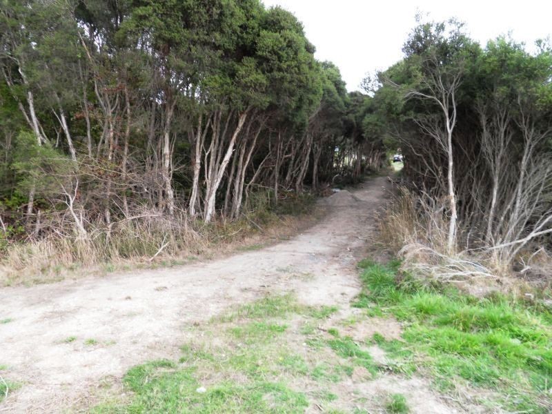 10 Reibey Street, Beaconsfield TAS 7270