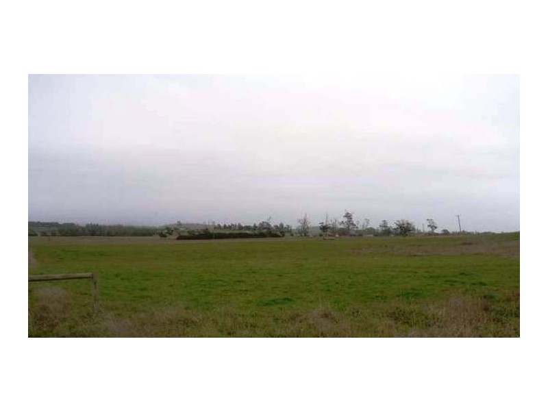 627 Rowella Road, Rowella TAS 7270