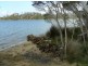14 Flinders Street, Beauty Point TAS 7270