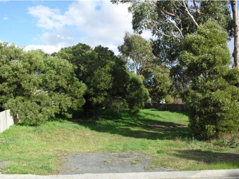 17 Ernest Street, Beauty Point TAS 7270
