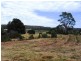 25 Paper Beach Road, Swan Point TAS 7275