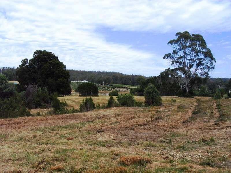 25 Paper Beach Road, Swan Point TAS 7275