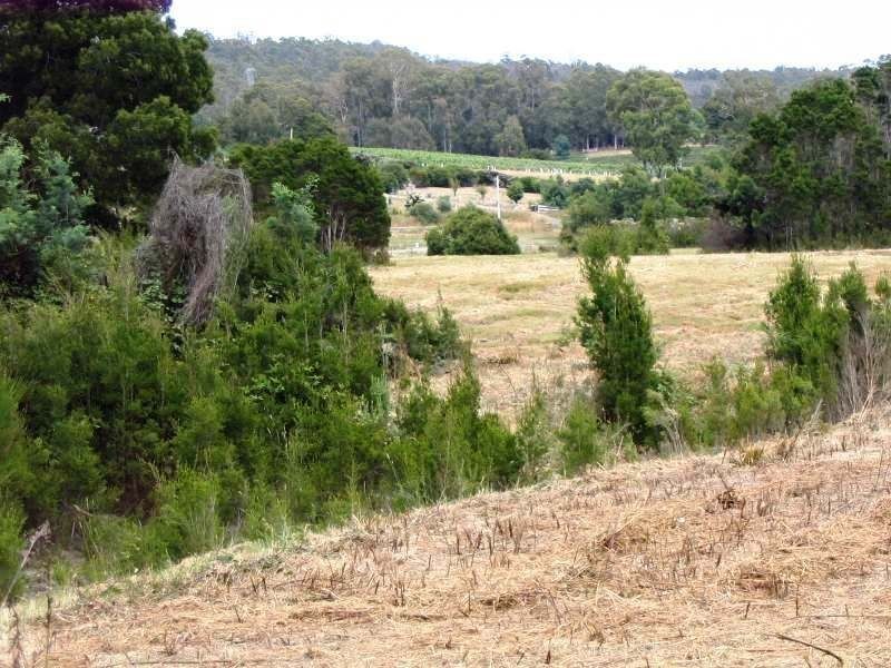 25 Paper Beach Road, Swan Point TAS 7275