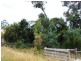 25 Paper Beach Road, Swan Point TAS 7275