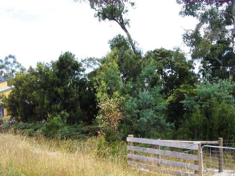25 Paper Beach Road, Swan Point TAS 7275