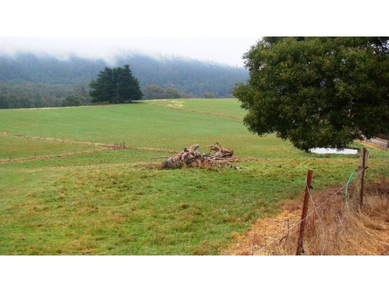 86 Nettlefolds Road, Holwell TAS 7275